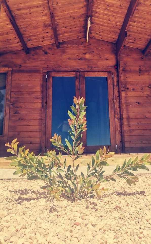 Farm stay Quinta Da Idalina