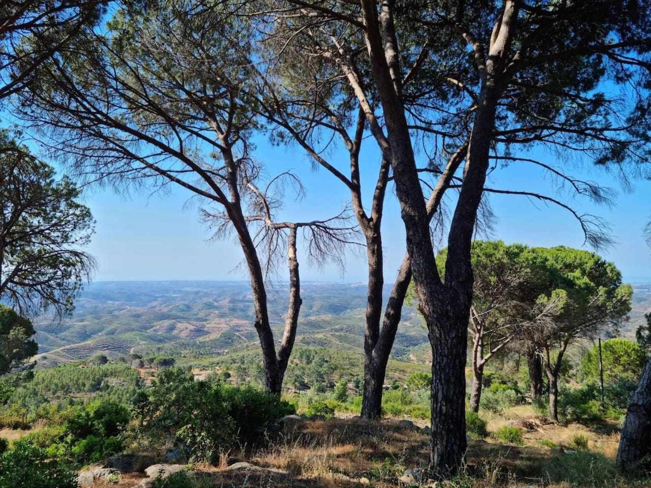 Quinta Da Idalina *