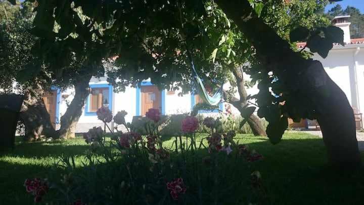 Farm stay Quinta Da Idalina *