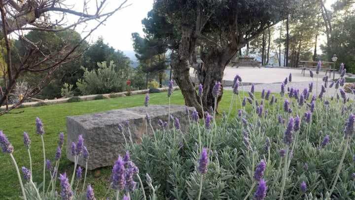 Quinta Da Idalina Farm stay Monchique