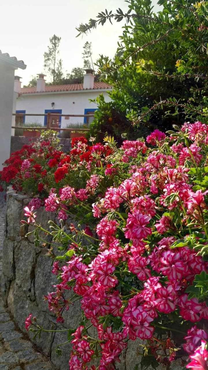 Quinta Da Idalina