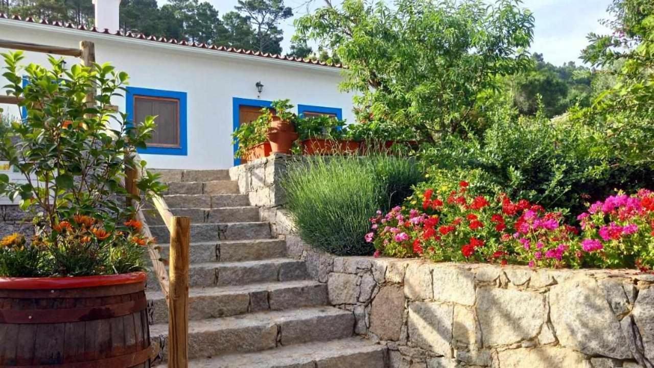 Farm stay Quinta Da Idalina