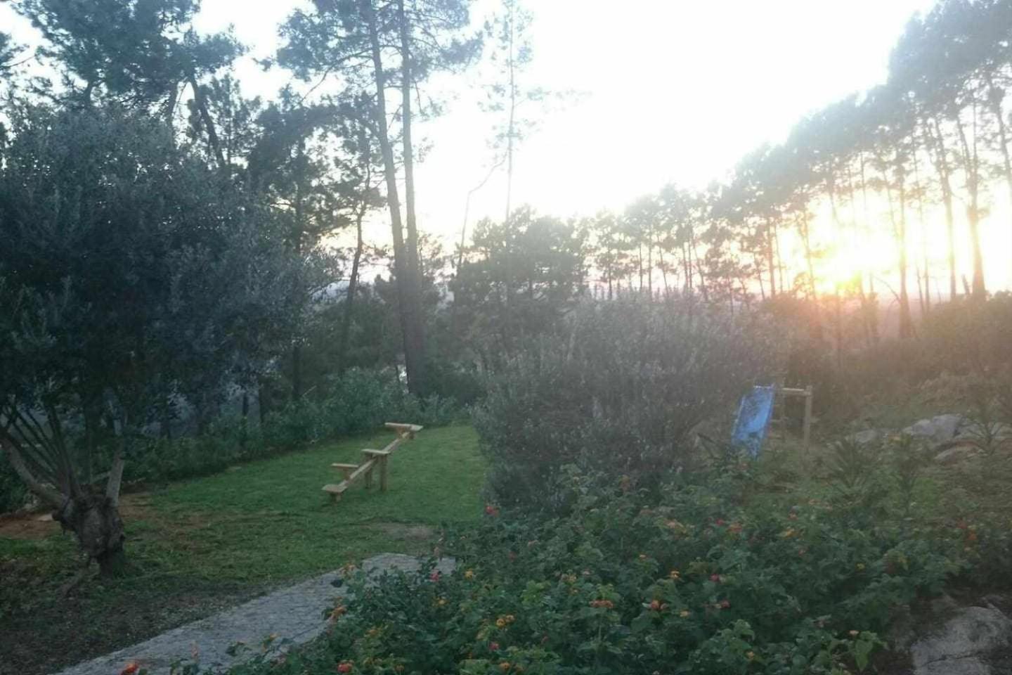 Quinta Da Idalina Farm stay *