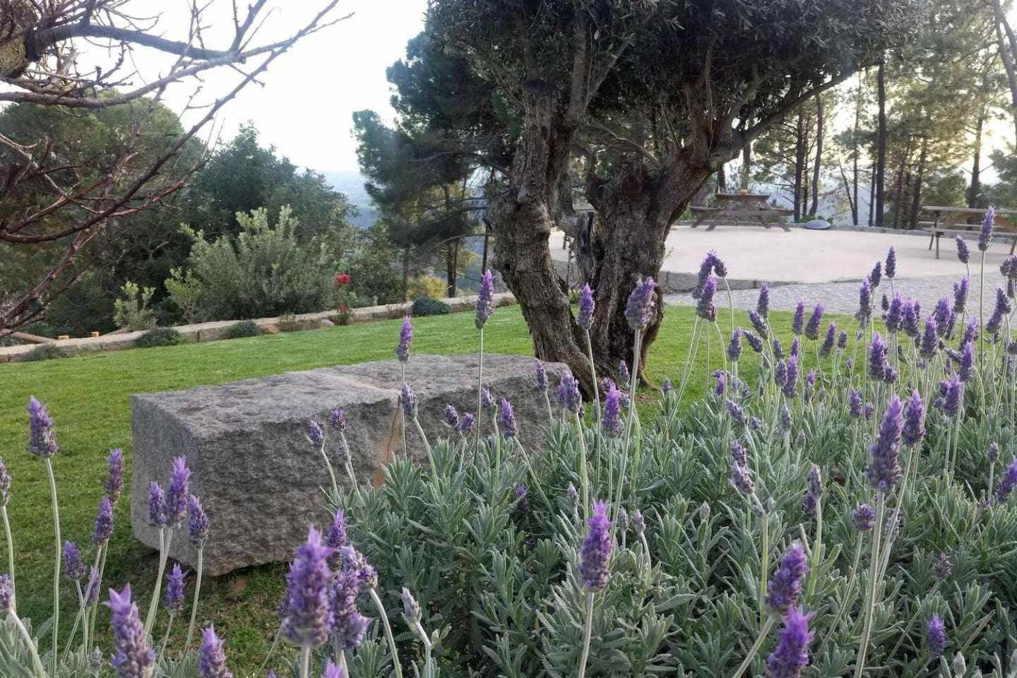 Quinta Da Idalina * Monchique