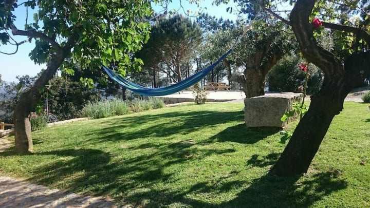 Quinta Da Idalina Alloggio per agriturismo *